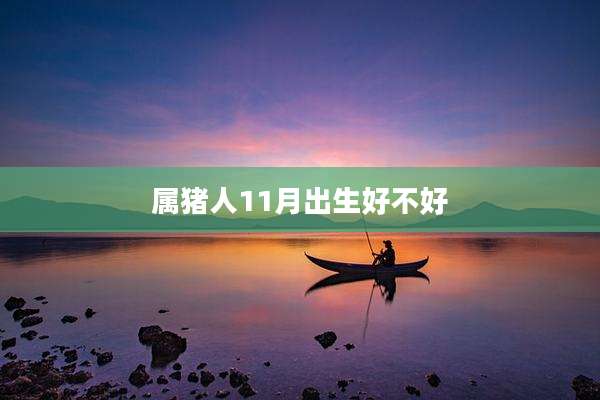 属猪人11月出生好不好