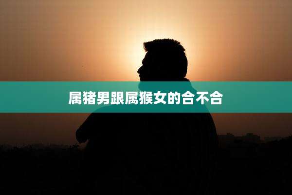 属猪男跟属猴女的合不合