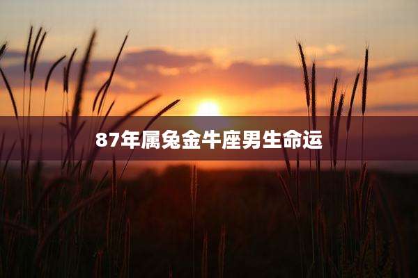 87年属兔金牛座男生命运