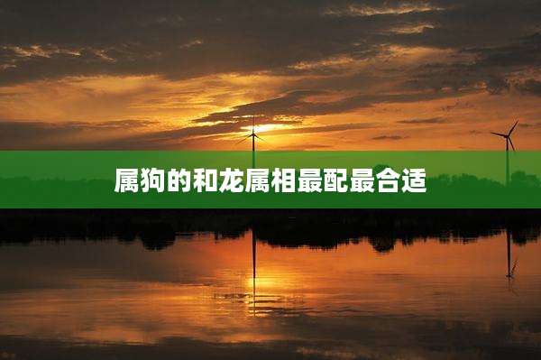 属狗的和龙属相最配最合适