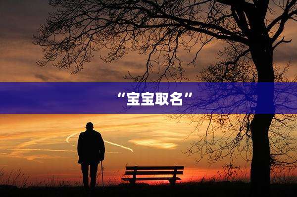 “宝宝取名”