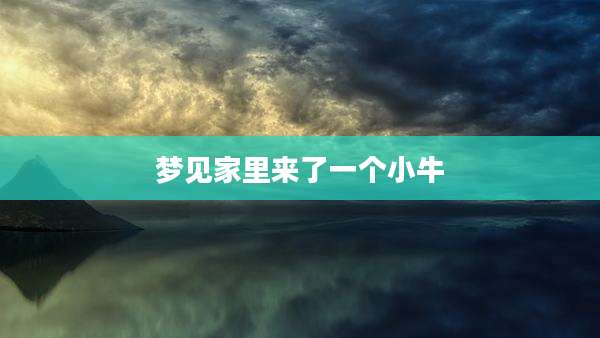 梦见家里来了一个小牛