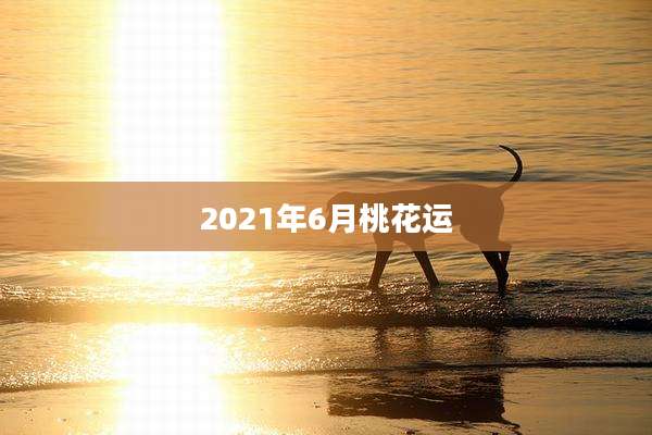 2021年6月桃花运