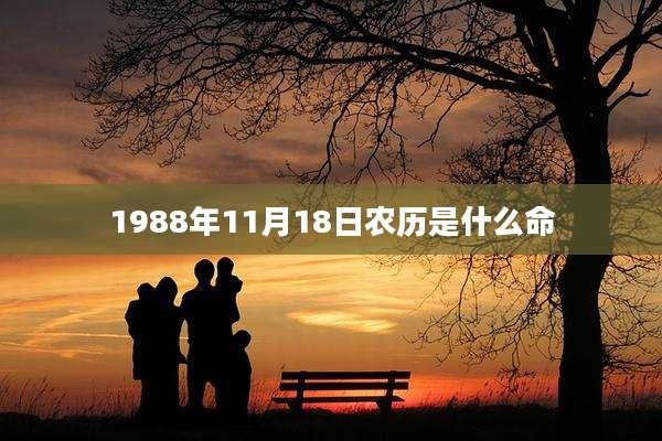 1988年11月18日农历是什么命