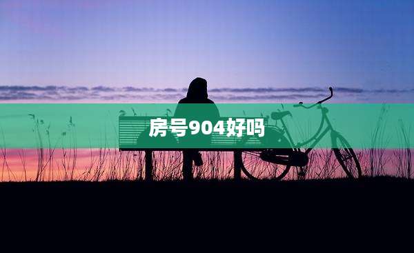 房号904好吗