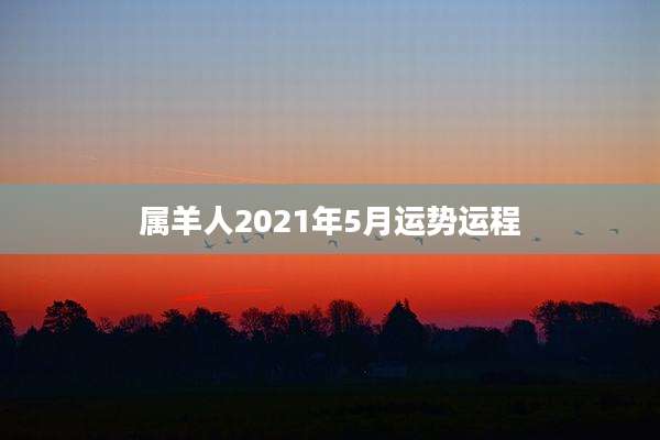 属羊人2021年5月运势运程