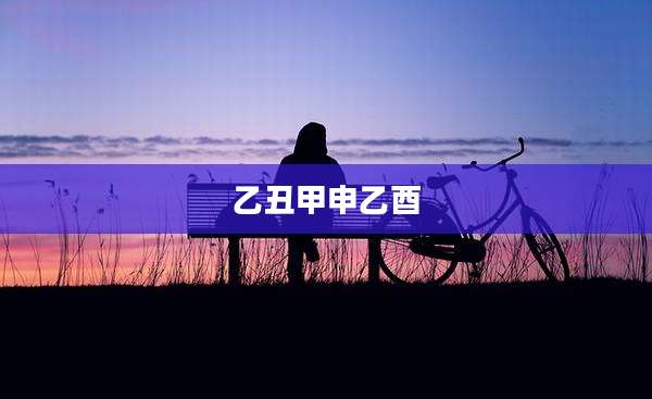 乙丑甲申乙酉