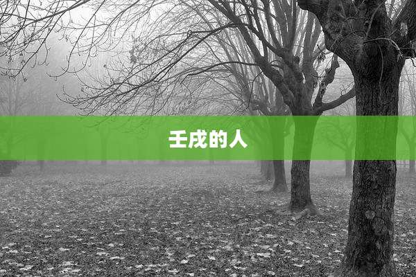 壬戌的人