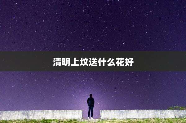 清明上坟送什么花好