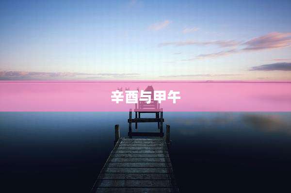 辛酉与甲午
