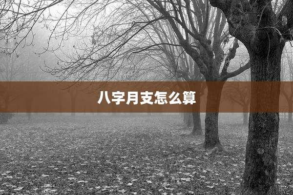八字月支怎么算