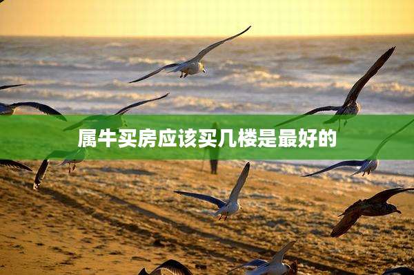 属牛买房应该买几楼是最好的