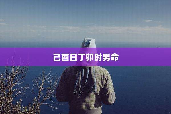 己酉日丁卯时男命