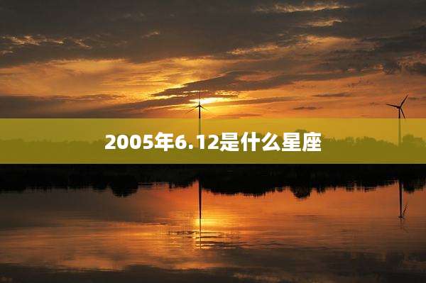 2005年6.12是什么星座