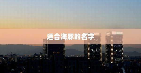 适合海豚的名字