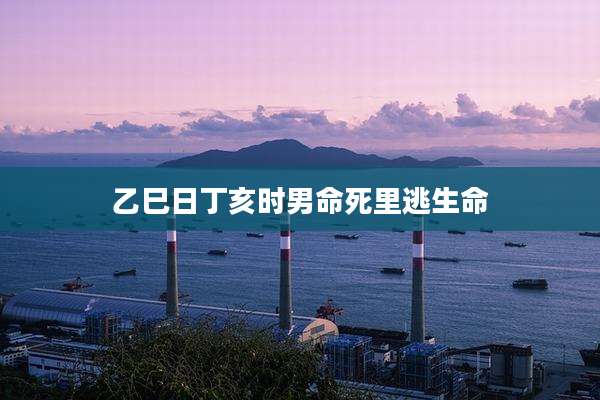 乙巳日丁亥时男命死里逃生命