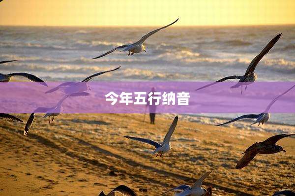 今年五行纳音