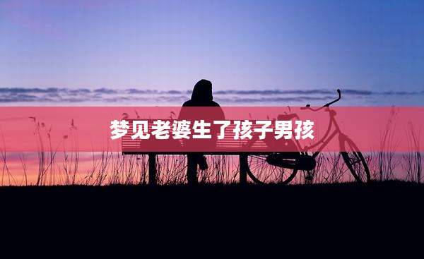 梦见老婆生了孩子男孩