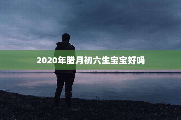 2020年腊月初六生宝宝好吗