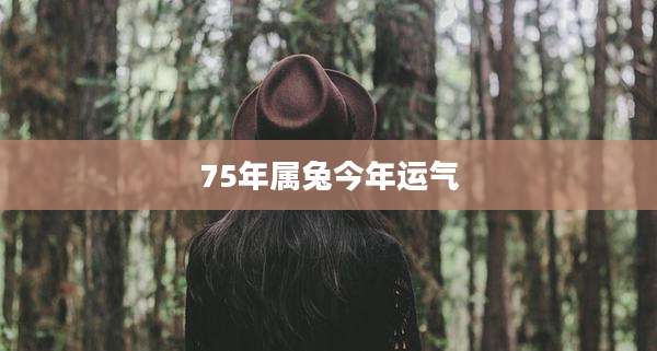 75年属兔今年运气