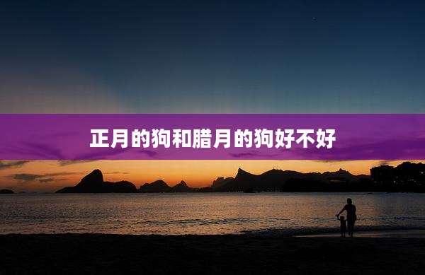 正月的狗和腊月的狗好不好