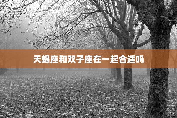 天蝎座和双子座在一起合适吗