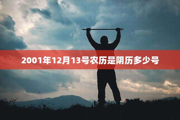 2001年12月13号农历是阴历多少号