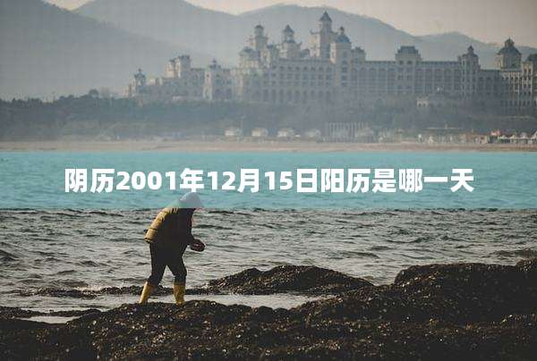 阴历2001年12月15日阳历是哪一天