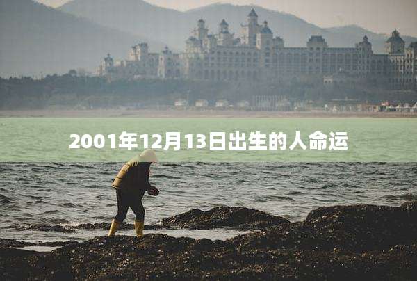 2001年12月13日出生的人命运