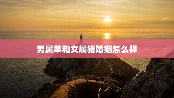 男属羊和女属猪婚姻怎么样