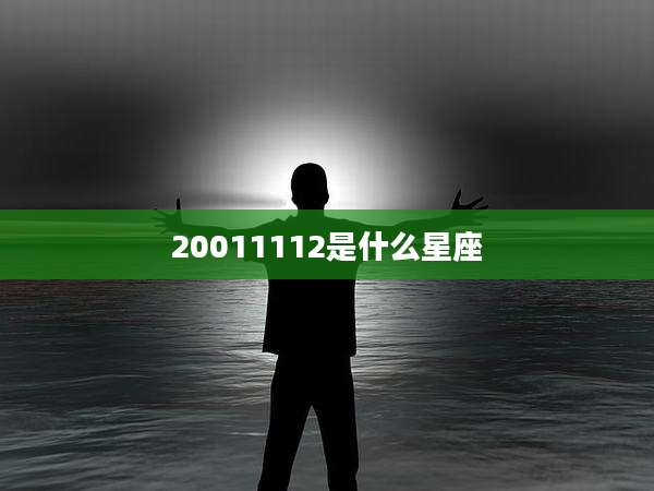 20011112是什么星座