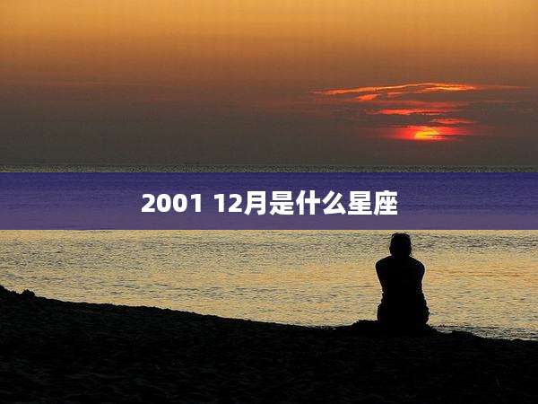 2001 12月是什么星座