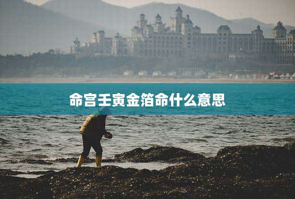 命宫壬寅金箔命什么意思