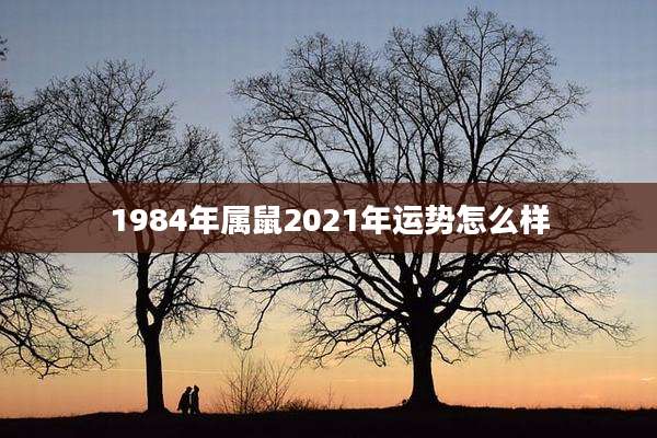1984年属鼠2021年运势怎么样
