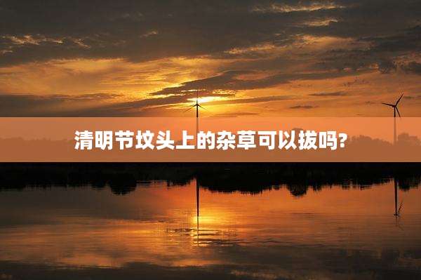 清明节坟头上的杂草可以拔吗?