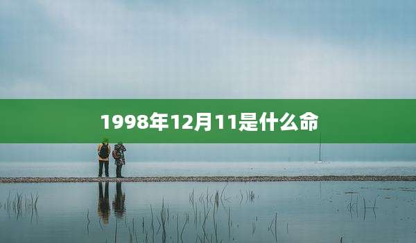 1998年12月11是什么命