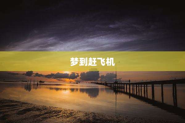 梦到赶飞机