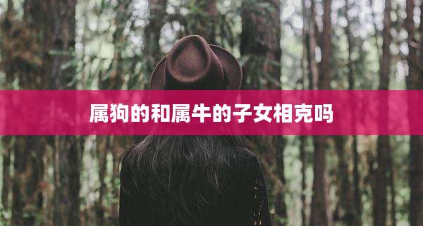 属狗的和属牛的子女相克吗