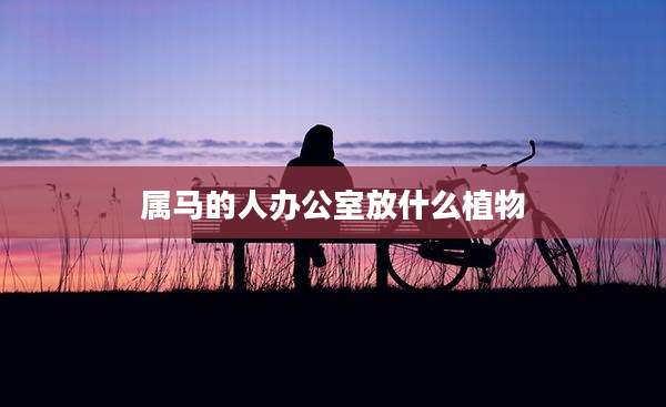 属马的人办公室放什么植物