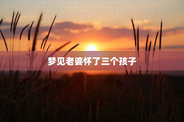 梦见老婆怀了三个孩子