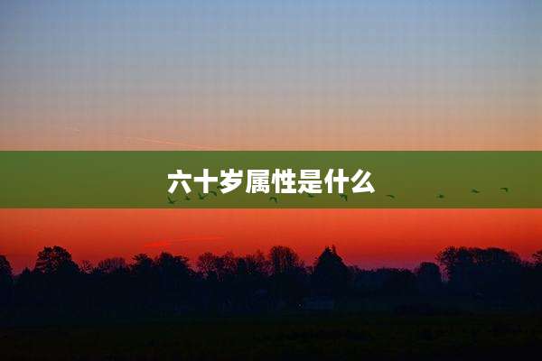 六十岁属性是什么