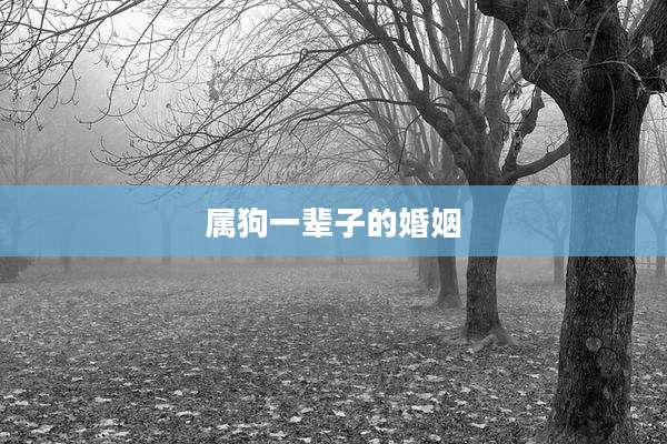 属狗一辈子的婚姻