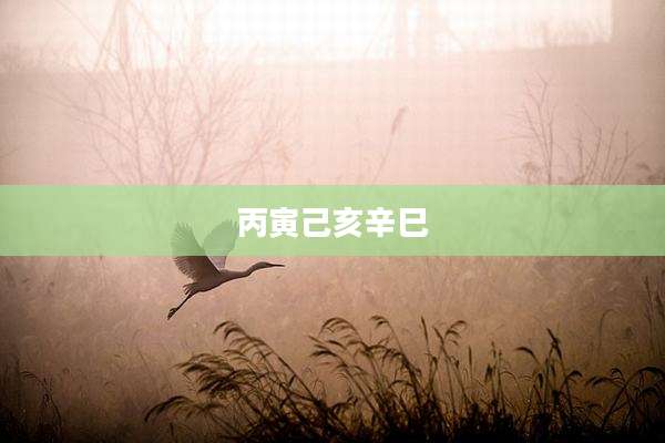 丙寅己亥辛巳