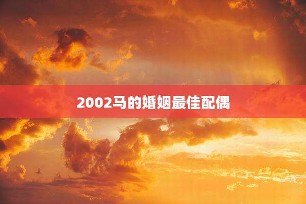 2002马的婚姻最佳配偶
