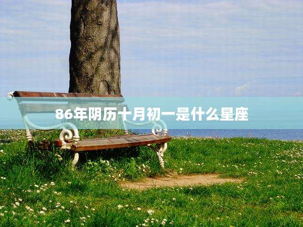 86年阴历十月初一是什么星座
