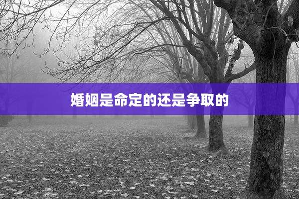 婚姻是命定的还是争取的