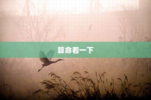 算命看一下