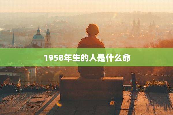 1958年生的人是什么命