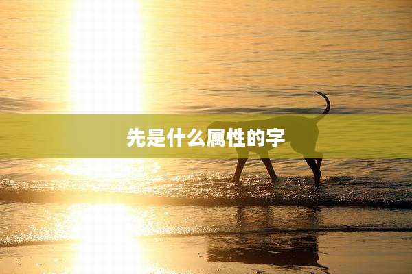 先是什么属性的字