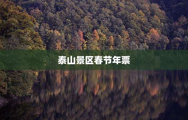 泰山景区春节年票